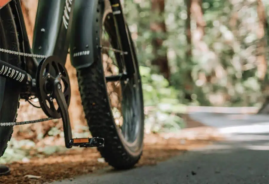 What is an Electric Bike? Learn Why It's the Future of Sustainable Transportation! 3 How Does Pedal Assist Work?