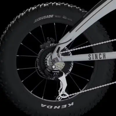Aventon Sinch Tires Aventon Sinch Tires