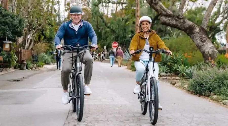 E-Bike and Public Transportation: A Blessing or Curse for Cities? 8 E-Bikes